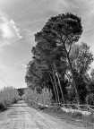 Parco di Bunnari*