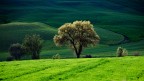 Terra di Siena