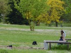 Relax al parco