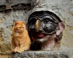 Il gatto di Pulcinella