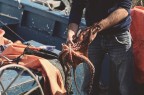 IL PESCATORE