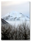 Nebbia