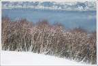 Affollamento in riva al lago...