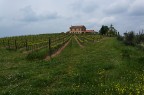 In collina