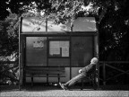 Al mattino