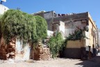 Ruderi in fiore