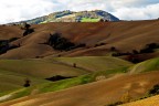 Terra di Marca