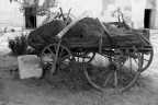 Il carro