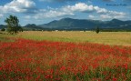 panorama romano