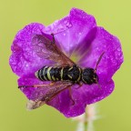 Un taglio insolito Un taglio insolito