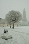Vigevano (2006)
