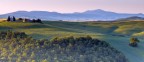 Silent Spring