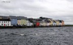 GALWAY . Scozia
