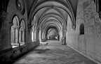 Benvenuta ogni critica costruttiva:  Essendo soggettiva, nel bene e/o nel male, non  mai assoluta. Dalla Tecnica non si deroga mai, dal Sentimento sempre: Due anime  della Fotografia.