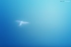 st
