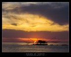 Color at Sunset