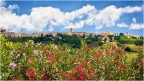 Recanati (MC)