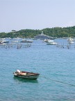 L'escluso