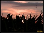 tramonto...