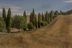 ancora le crete