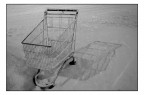 carrello