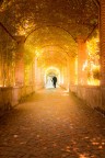 st