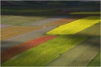 Dalla natura e dal lavoro dell'uomo Dalla natura e dal lavoro dell'uomo