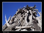 Ovile - Aspromonte (NU)