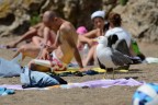 L'abitudine