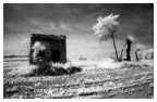 White Lands 3