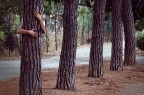 the natural man