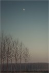 S.T.
