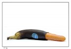 Contaminazione