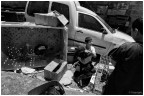 West Bank - 2014 (2)
