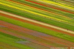 Per la seconda volta ho avuto il piacere di visitare questo luogo magico...
Castelluccio di Norcia (PG)
Canon EOS 7D + Canon EF70-200mm f/4L USM
12.07.2014
Suggerimenti e critiche sempre ben accetti

www.rossidaniele.com