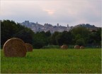 Bergamo