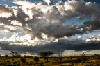 Africa 5
