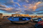 gallipoli LE