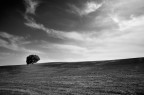 paesaggio b/n