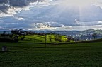 Colline di Marca - Solo critiche costruttive, benvenute.