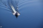 Volare sull'acqua