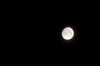 NIKON D7100
300 mm
ISO140
TS 1/13
F16