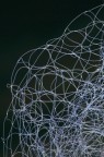 Sottili connessioni
