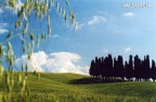 Classico toscano