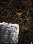 una panchina in pietra in riva all'Adige
