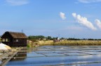 Saline di Cervia.