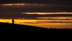 leggendo al tramonto