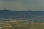Volterra!