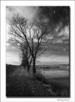 Scattata all'oasi di Villa Santa con la mia fedelissima EOS300V+EF20mm f/2.8+IlFord HP5 400ISO. Solo leggermente ritagliata ed incorniciata.

Io questa foto la definisco da ascoltare....mi rilassa.

Si attendono commenti e soprattutto critiche...per migliorare.

Felix.