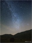 prati di stelle